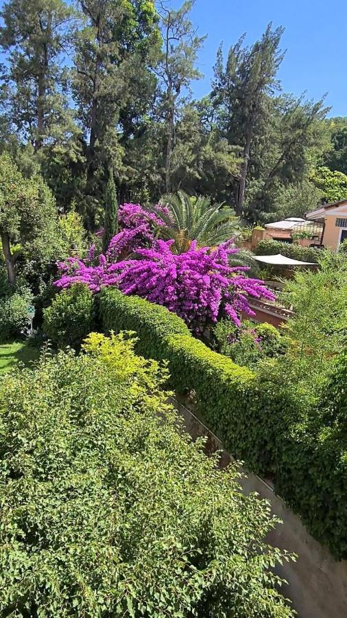 Bed and breakfast Riari Garden Roma