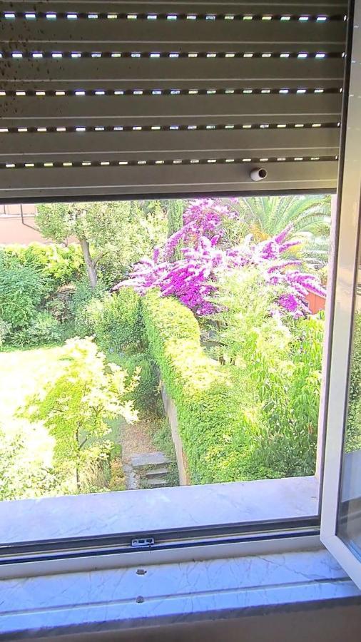 Riari Garden Roma
