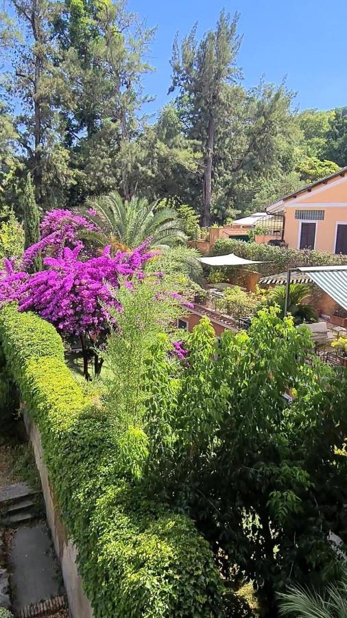 Riari Garden Roma